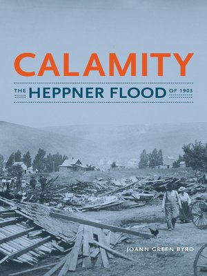 cover image of Calamity